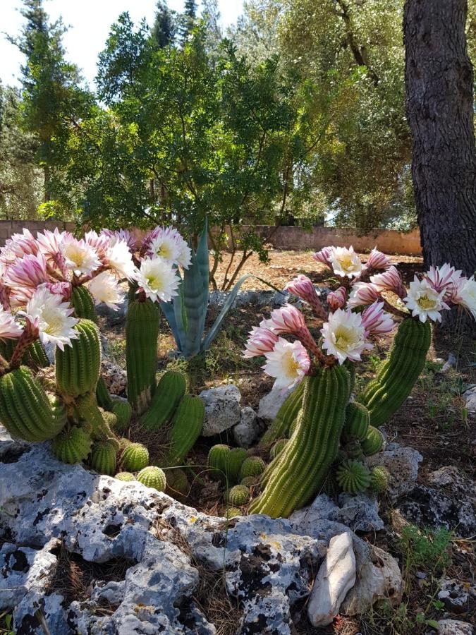 Trulli Di Spinaruta Grottaglie Exterior foto