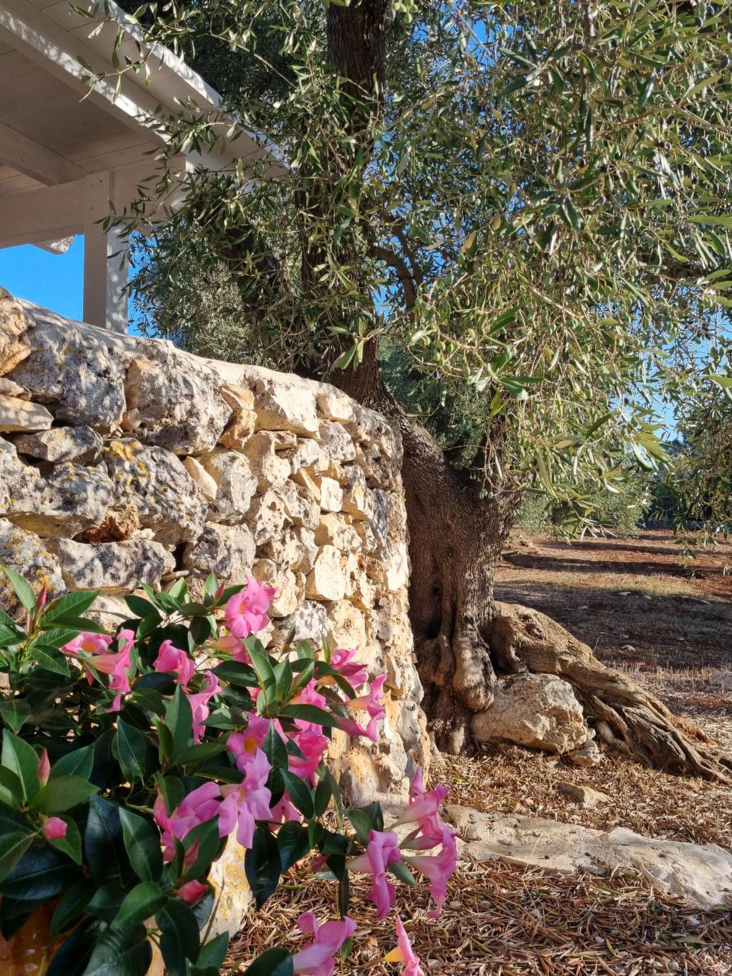 Trulli Di Spinaruta Grottaglie Exterior foto
